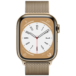 Apple Series 8 45mm Stainless Steel (GPS+Cellular)
